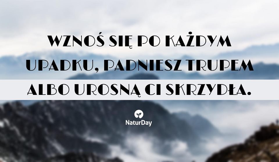 A Ty? Podnosisz się po każdym upadku? 