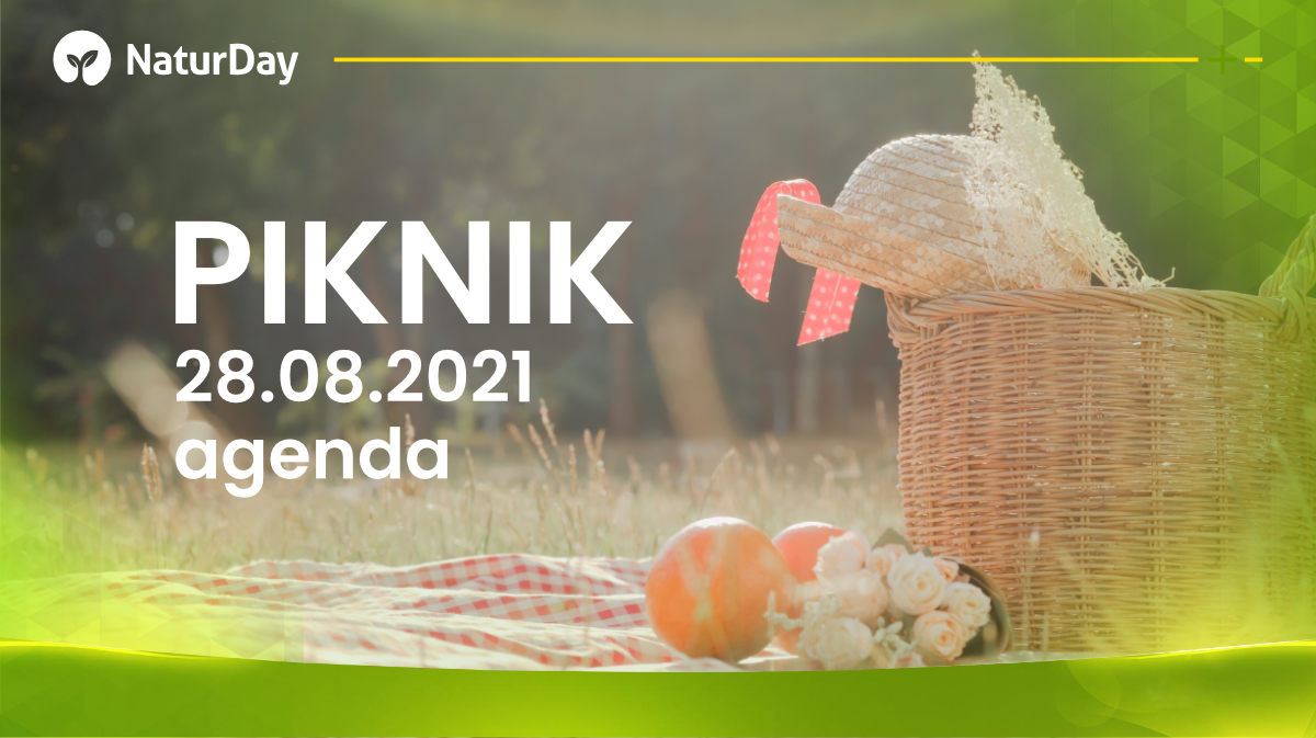 Piknik - agenda